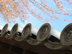 -醍醐寺