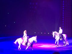 -珠海横琴长隆《卡卡虎奇遇记》