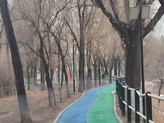 -黛秀湖公园
