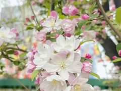 -元大都城垣遗址公园