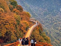 -少华山国家森林公园