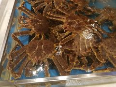 -蟹将军·松叶蟹和牛日料放题自助(K11店)