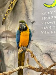 -Zoolung Zoolung动物主题公园(海信广场店)