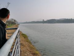 -羊山湖公园
