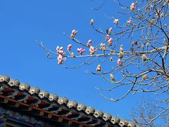 -碑林公园