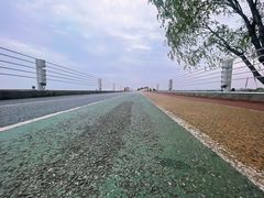 -贡湖湾湿地公园