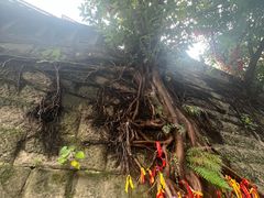 -重庆十八梯传统风貌区