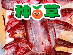 -铜元老码头鳝鱼火锅
