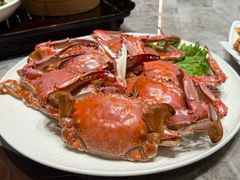 -大连湾旭日·家宴·海肠捞饭(马栏广场店)