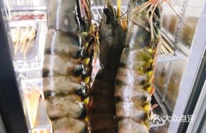 Premium Fresh Shrimp Skewers