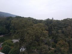 -南京东郊国宾馆