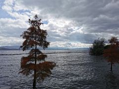-大理洱海