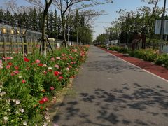 -上海长兴岛郊野公园