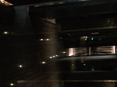 -徐记海鲜(梅溪新天地店)