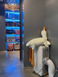 -泫舞舞蹈工作室