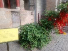 -娲皇宫
