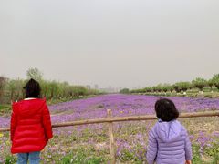 -汉长安城未央宫国家考古遗址公园