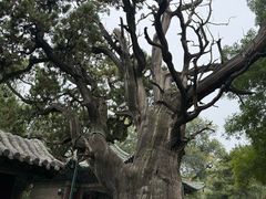 -晋祠博物馆