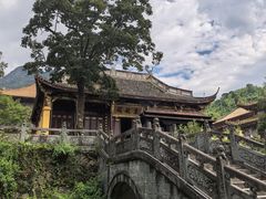 -天目山大树王景区