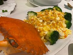 -蝶园·装修中(BFC外滩金融中心店)