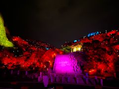 -印象普陀