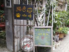 -猫色咖啡·猫咖