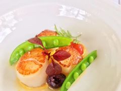 -蝶舍·MAISON PAPILLON