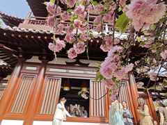 -上海青龙寺