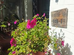 -慢丽江·云南野生菌土鸡锅(西山店)