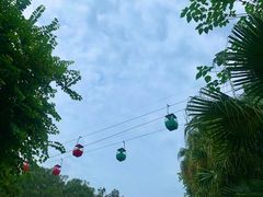 -攀枝花公园