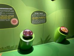 -北京科学中心儿童乐园