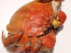 -鼎泰丰(渔阳店)