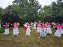 -桤木河湿地公园