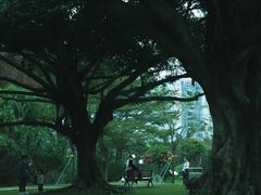 -荔香公园