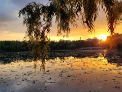 -长春市南湖公园