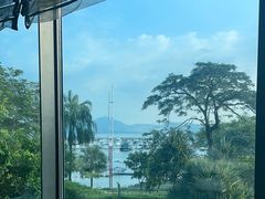 -希尔顿南海酒店·观廊大堂吧·海景下午茶