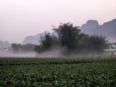 -明仕田园