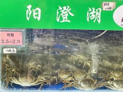 -阳澄湖大闸蟹·琼灵阁牌品牌连锁(吴中总店)