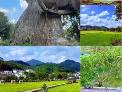 -红山村