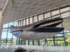 -中国（海南）南海博物馆