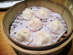 鲜肉小笼-苏小柳手工点心(人民广场分院)