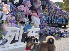 -上海鲜花港