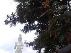 -南诏风情岛