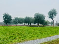 -汉长安城未央宫国家考古遗址公园