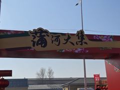-蒲河大集