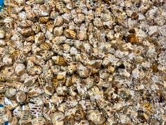 -三亚火车头万人海鲜广场