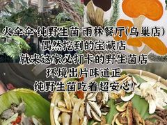-西双版纳原始森林公园