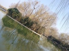 -洛阳市隋唐城遗址植物园