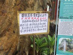 -食德喜·阳山鸡王食研基地