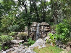 -深圳国际园林花卉博览园